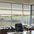 Office Blinds