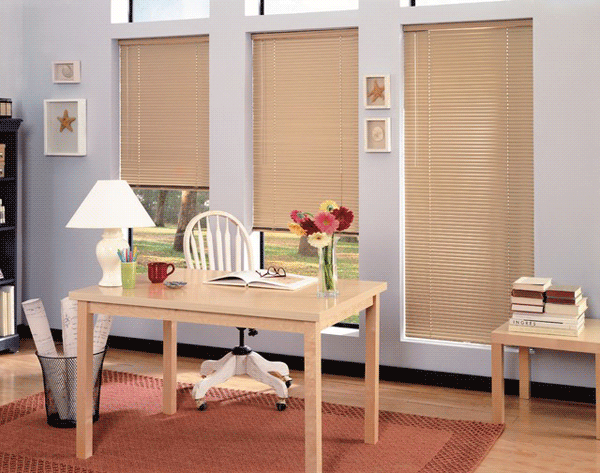 Study Blinds