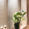 Aluminium Blinds