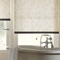 Bathroom Blinds