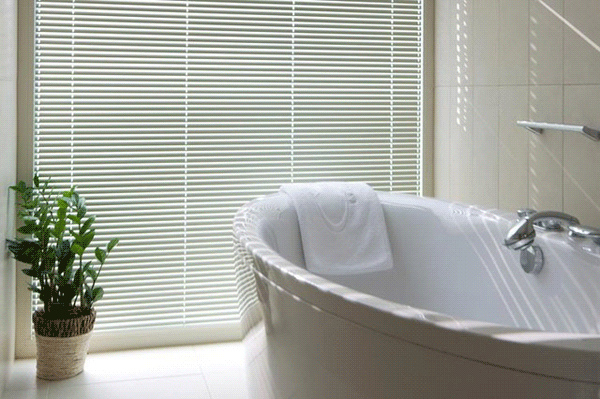 Bathroom Blinds