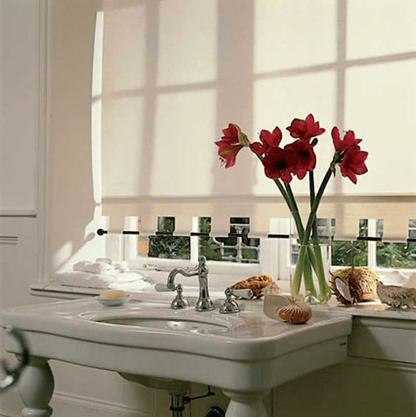Bathroom Blinds