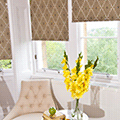 Conservatory Blinds