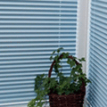 Conservatory Blinds
