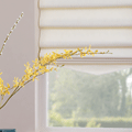 Dinning Room Blinds
