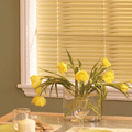 Dinning Room Blinds
