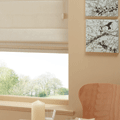 Dinning Room Blinds