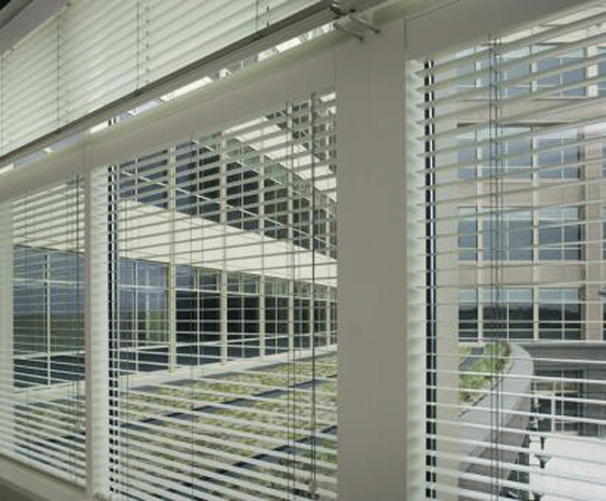 Dining Room Blinds