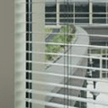 Office Blinds
