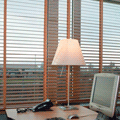 Office Blinds