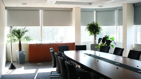 Office Blinds
