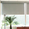 Office Blinds
