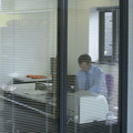 Office Blinds