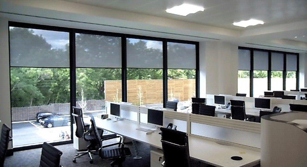 Office Blinds