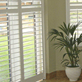 Window Shutters