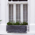 Window Shutters