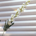 pleated blinds