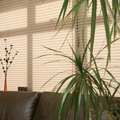 pleated blinds