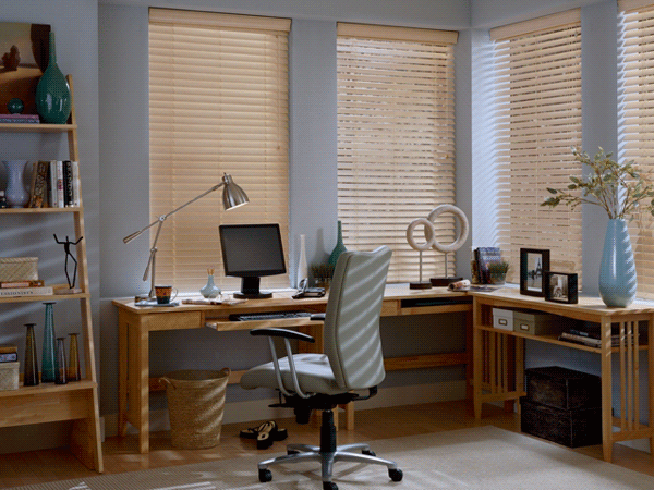 Study Blinds