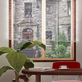 Study Blinds