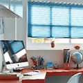 Study Blinds