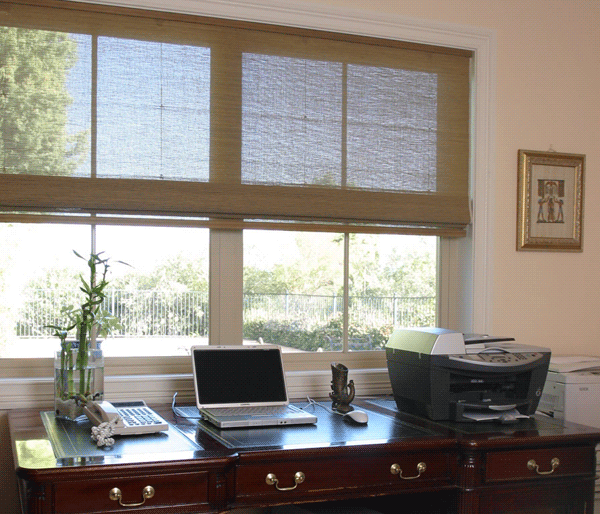 Study Blinds