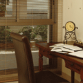Study Blinds