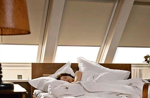 Velux Style Blinds