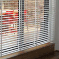 Venetian blinds