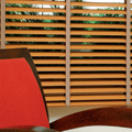 Venetian Blinds