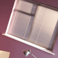 Venetian Blinds