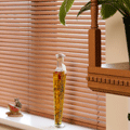 Venetian Blinds