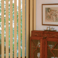 vertical blinds