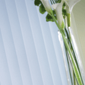 vertical blinds
