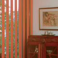 vertical blinds