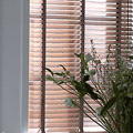 Wooden Blinds